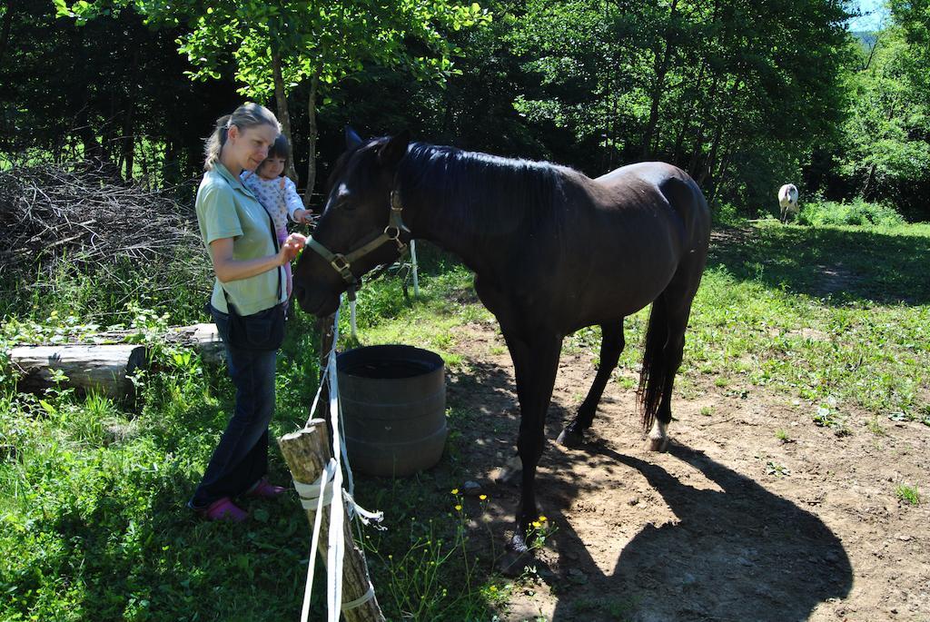 Vremski Britof Tourist Farm Dujceva Domacijaヴィラ エクステリア 写真