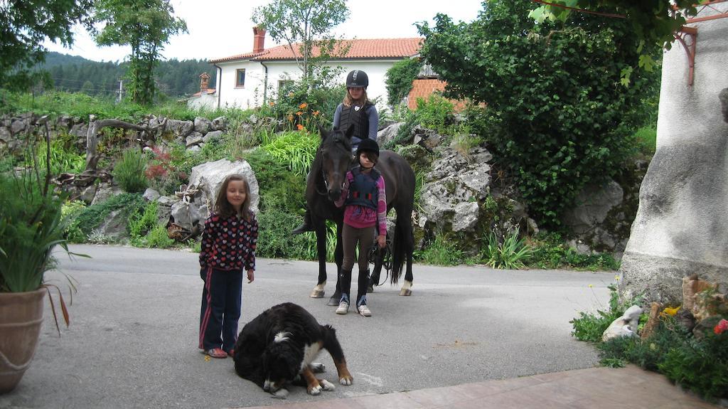 Vremski Britof Tourist Farm Dujceva Domacijaヴィラ エクステリア 写真