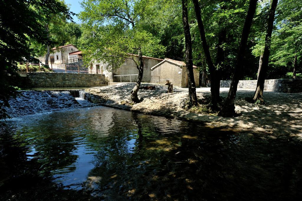 Vremski Britof Tourist Farm Dujceva Domacijaヴィラ エクステリア 写真
